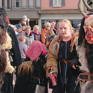 Umzug Rapperswil